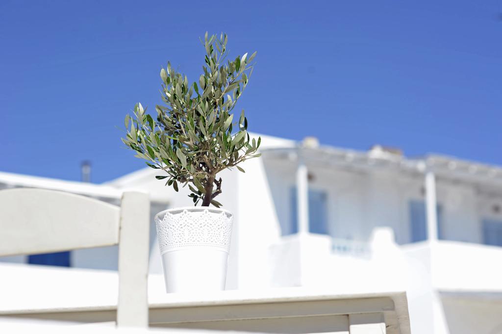 Galatis Beach Hotel Alikí Kültér fotó